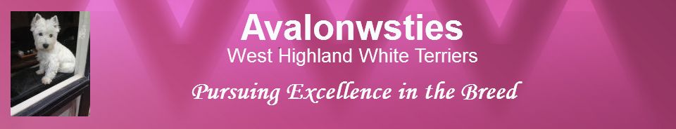 Avalonwsties West Highland White Terriers